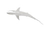 Phillips Collection Whaler Shark Silver Leaf Accent