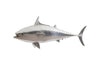 Phillips Collection Mackerel Fish Wall Sculpture Resin Silver Leaf Accent