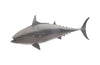 Phillips Collection Mackerel Fish Wall Sculpture Resin Polished Aluminum Finish Accent