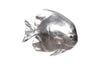 Phillips Collection Australian Bat Fish Wall Sculpture Resin Silver Leaf Accent