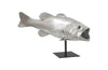 Phillips Collection Large Mouth Bass Fish With Stand Accent