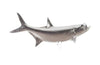 Phillips Collection Tarpon Fish Wall Sculpture Resin Silver Leaf Accent