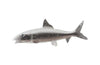 Phillips Collection Bonefish Wall Sculpture Resin Silver Leaf Accent