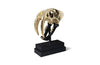 Phillips Collection Saber Tooth Tiger Skull Black Gold Leaf Accent