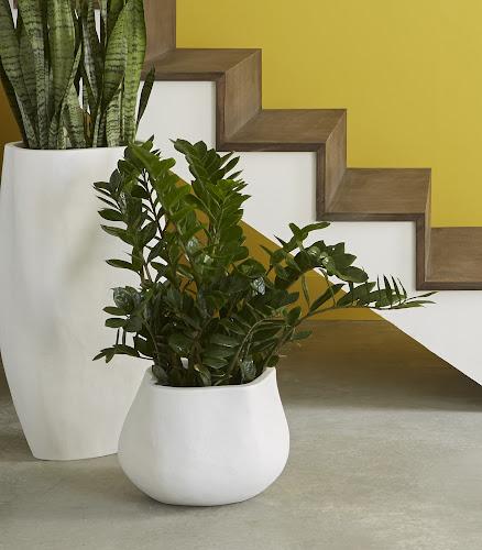 Phillips Amorphous Planter Small White