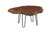 Phillips Collection Burled , Black Metal Legs Large Coffee Table