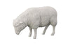 Phillips Collection Sheep Sculpture Gel Coat White Accent
