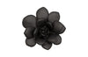 Phillips Collection Laui Succulent , Smooth Matte Black Black Wall Art