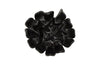 Phillips Collection Topsy Turvy Succulent , Smooth Matte Black Black Wall Art