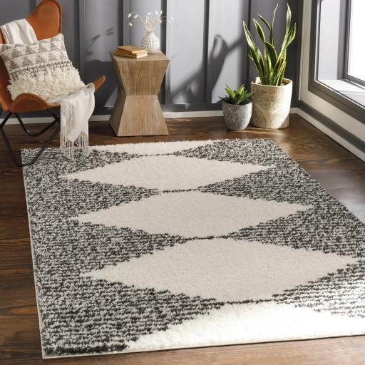 Surya Beni Shag BSH-2308 Rug