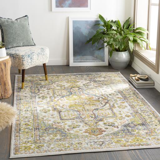 Surya New Mexico NWM-2337 Rug