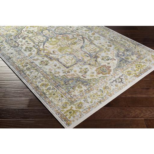 Surya New Mexico NWM-2337 Rug