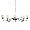 Hubbardton Forge Black Water Glass (Ll) Oval Large 8 Arm Chandelier