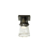 Hubbardton Forge Dark Smoke Clear Glass (Zm) Erlenmeyer 1 Light Semi-Flush