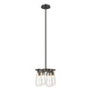 Hubbardton Forge Dark Smoke Clear Glass (Zm) Eos Semi-Flush/Pendant