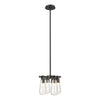 Hubbardton Forge Black Clear Glass (Zm) Eos Semi-Flush/Pendant