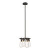 Hubbardton Forge Natural Iron Clear Glass (Zm) Eos Semi-Flush/Pendant