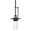 Hubbardton Forge Black Clear Glass (Zm) Erlenmeyer Mini Pendant