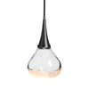 Hubbardton Forge Black Clear Glass (Zm) Fritz Large Pendant