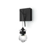 Hubbardton Forge Black Clear Glass (Zm) Kiwi Sconce