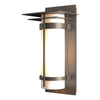 Hubbardton Forge Coastal Dark Smoke Opal Glass (Gg) Banded With Top Plate Outdoor Sconce