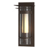 Hubbardton Forge Coastal Bronze Seeded Glass With Opal Diffuser (Zs) Torch Small Outdoor Sconce With Top Plate