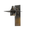 Hubbardton Forge Coastal Bronze Hood Large Dark Sky Outdoor Sconce