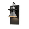 Hubbardton Forge Coastal Black Coastal Burnished Steel Erlenmeyer Dark Sky Friendly Outdoor Sconce