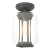 Hubbardton Forge Coastal Natural Iron Clear Glass (Zm) Fairwinds Outdoor Semi-Flush