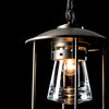 Hubbardton Forge Coastal Dark Smoke Clear Glass (Zm) Erlenmeyer Outdoor Pendant