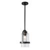 Hubbardton Forge Coastal Oil Rubbed Bronze Clear Glass (Zm) Alcove Outdoor Pendant