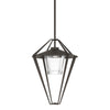 Hubbardton Forge Coastal Dark Smoke Clear Glass (Zm) Stellar Large Outdoor Pendant/Semi-Flush