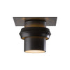 Hubbardton Forge Coastal Oil Rubbed Bronze Twilight Dark Sky Friendly Outdoor Semi-Flush