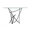 Hubbardton Forge Black Glass Top (Va) Brindille Console Table