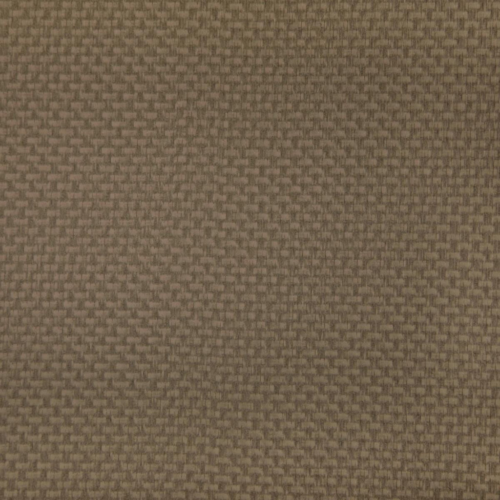 Kravet STEIN ETRUSCAN Fabric