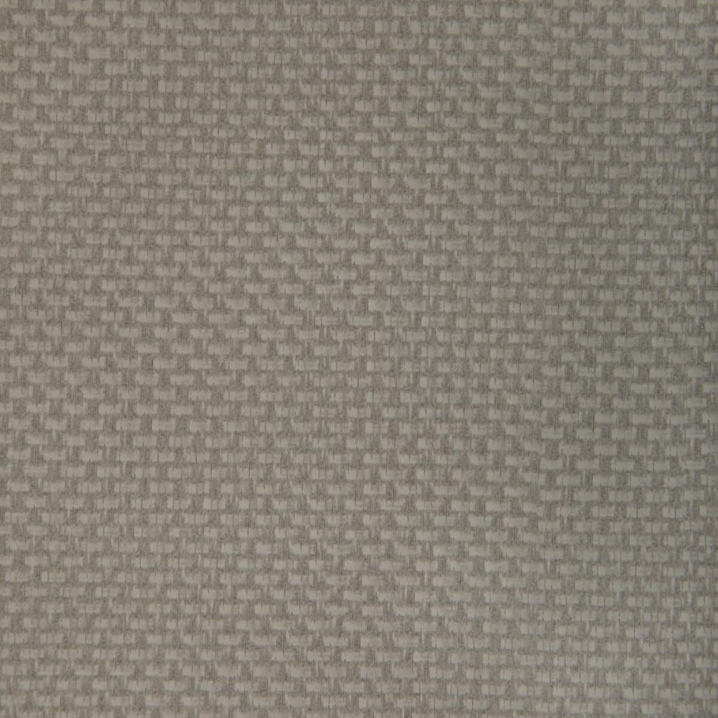 Kravet STEIN PORCINI Fabric