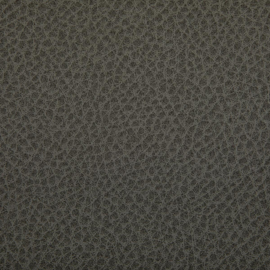 Kravet WOOLF HAWK Fabric